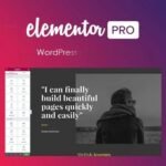 Elementor Pro